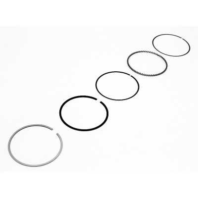 JEU DE SEGMENTS (5 PIECES) POUR NETTOYEUR HAUTE PRESSION PARKSIDE PHDB 4 C3 - REF: 5911240028
