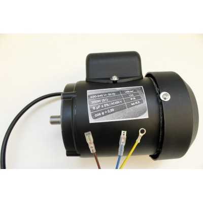 MOTEUR ELECTRIQUE POUR SCIE A RUBAN PARKSIDE PBS 350 C3 - REF: 39015169001