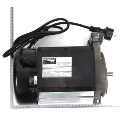 MOTEUR ELECTRIQUE POUR FENDEUSE DE BUCHES PARKSIDE PLS 600 A1 - REF: 3905202033