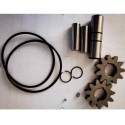 KIT DE PIGNONS ET JOINTS POUR FENDEUSE DE BUCHES PARKSIDE PLS 600 A1 - REF: 3905201234