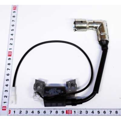 BOBINE D'ALLUMAGE POUR TONDEUSE AUTOPORTEE PARKSIDE PBAM 224 A1 - REF: 5911235162