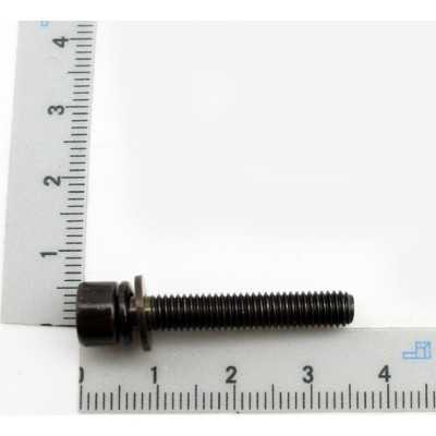 VIS DE SERRAGE DU TUBE (KIT DE 2) POUR ASPIRATEUR-SOUFFLEUR PARKSIDE PBLS 26 A1 - REF: 5910706052