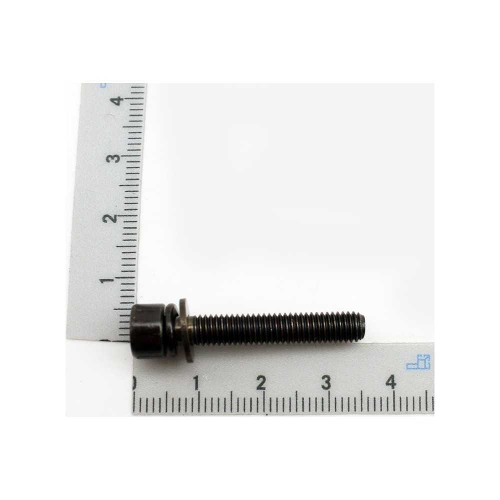 VIS DE SERRAGE DU TUBE (KIT DE 2) POUR ASPIRATEUR-SOUFFLEUR PARKSIDE PBLS 26 A1 - REF: 5910706052 VIS DE SERRAGE DU TUBE (KIT DE 2) POUR ASPIRATEUR-SOUFFLEUR PARKSIDE PBLS 26 A1 - REF: 5910706052