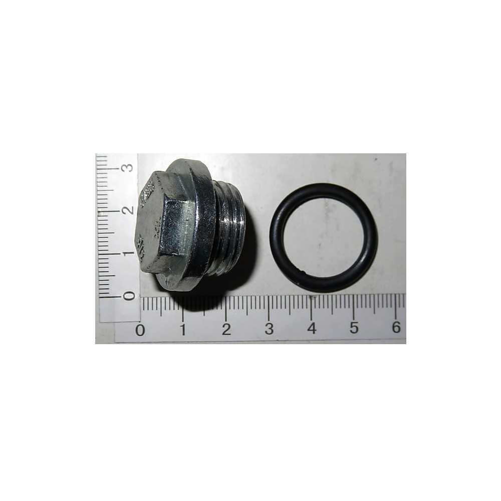 BOUCHON DE CUVE AVEC JOINT POUR COMPRESSEUR PARKSIDE PKO 2410 B2 - REF: 3906123007 BOUCHON DE CUVE AVEC JOINT POUR COMPRESSEUR PARKSIDE PKO 2410 B2 - REF: 3906123007