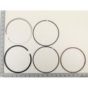 JEU DE SEGMENTS DE PISTON POUR TONDEUSE PARKSIDE PBRM 39 C2 - REF: 5911248007