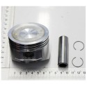 PISTON AVEC SEGMENTS POUR BROUETTE A MOTEUR PARKSIDE PDU 300 A1 - REF: 3904602003