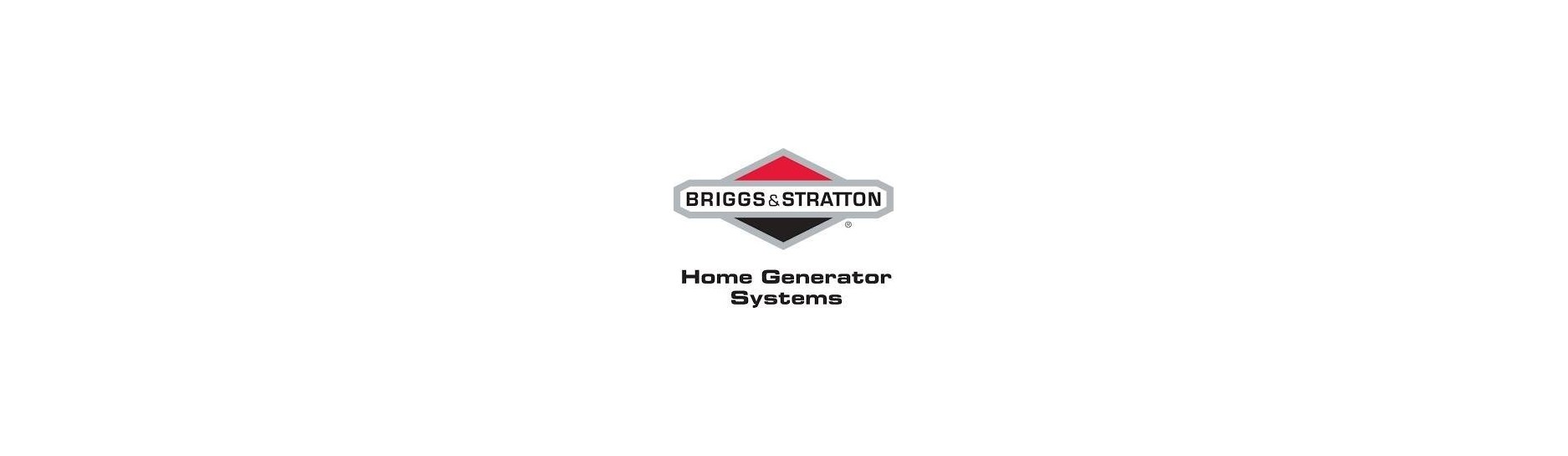 PRODUITS BRIGGS & STRATTON